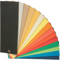 door colors